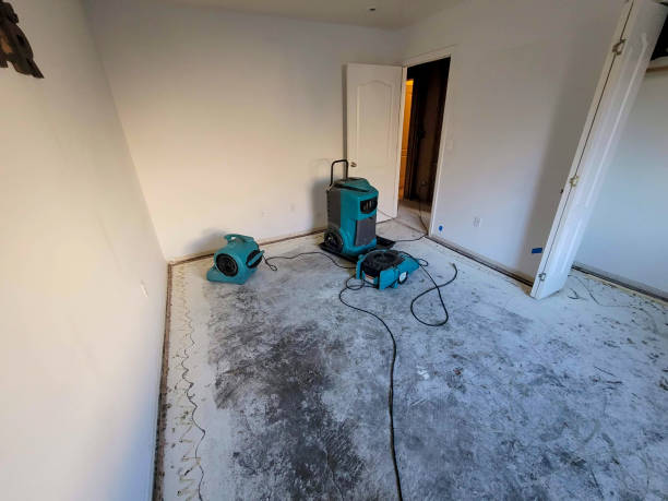 Best Fire Damage Restoration  in Mansfield, OH