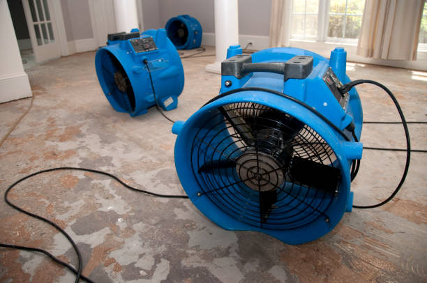 Best 24/7 water damage repair  in Mansfield, OH