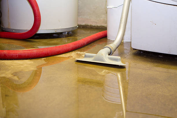 Best Flood restoration services  in Mansfield, OH