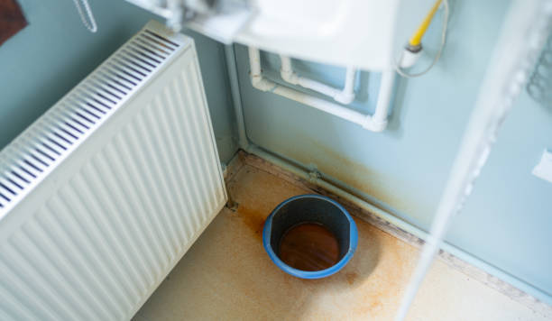 Best Flood damage cleanup  in Mansfield, OH