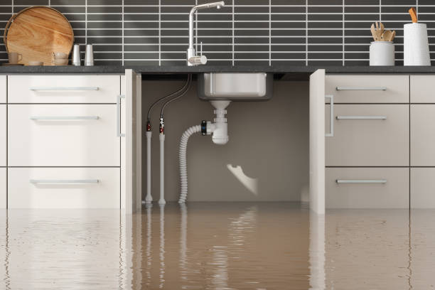 Best Emergency water extraction  in Mansfield, OH