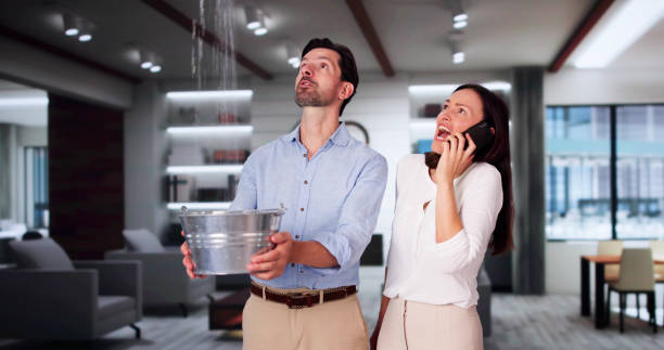 Best Sewage cleanup and water damage restoration  in Mansfield, OH