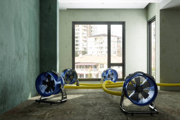 Best Emergency water damage restoration  in Mansfield, OH